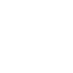 Category icon